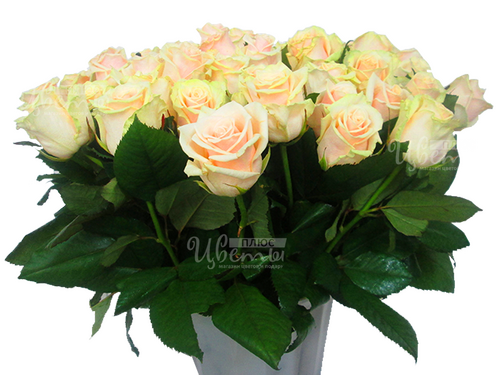 Талея